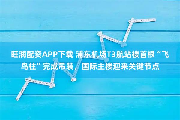 旺润配资APP下载 浦东机场T3航站楼首根“飞鸟柱”完成吊装，国际主楼迎来关键节点